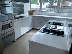 The Vision (D5), Condominium #508994891